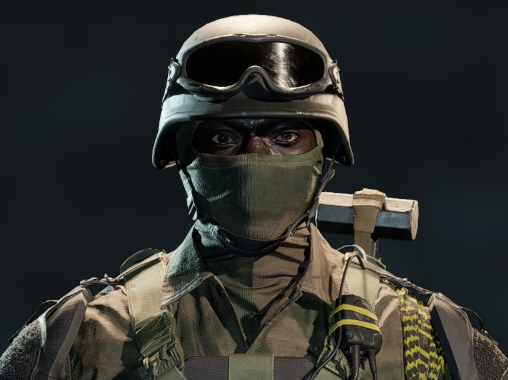 Skin: Standardausführung